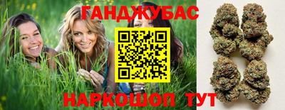 хмурый Тара