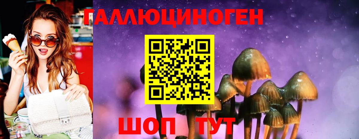 Галлюциногенные грибы MAGIC MUSHROOMS Ногинск